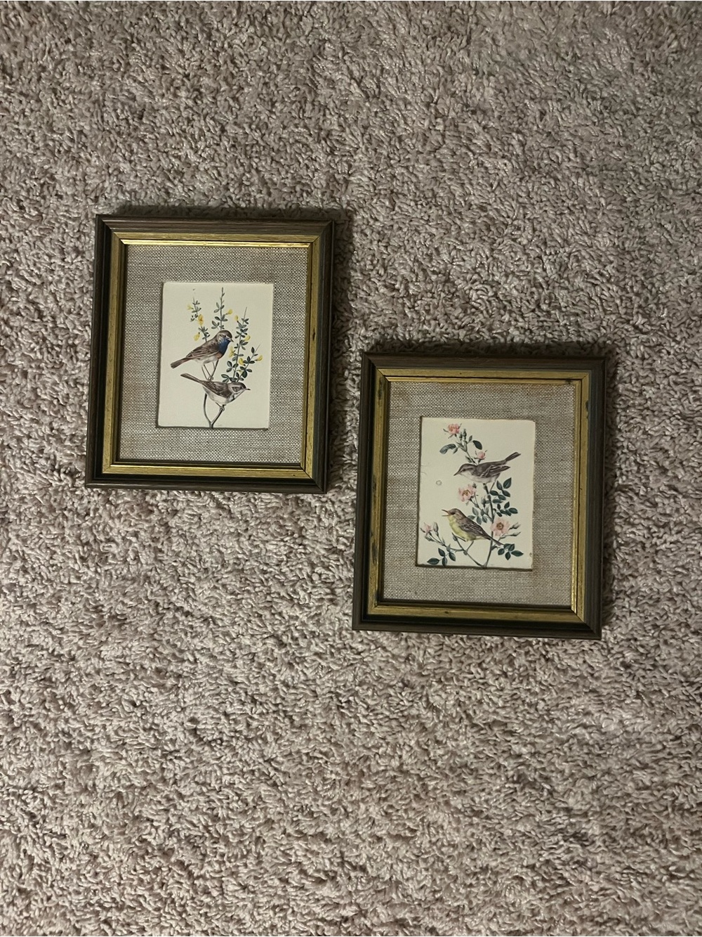 Set of 2 Framed Botanical Bird Prints in Gold-Tone Frames